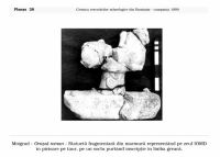 Cronica Cercetărilor Arheologice din România, Campania 1999. Raportul nr. 90