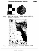 Cronica Cercetărilor Arheologice din România, Campania 1999. Raportul nr. 128
