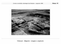 Cronica Cercetărilor Arheologice din România, Campania 1999. Raportul nr. 154