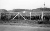 Cronica Cercetărilor Arheologice din România, Campania 2000. Raportul nr. 18