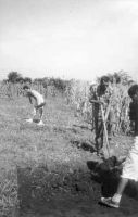 Cronica Cercetărilor Arheologice din România, Campania 2000. Raportul nr. 18