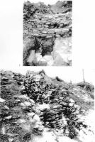 Cronica Cercetărilor Arheologice din România, Campania 2000. Raportul nr. 53