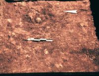 Cronica Cercetărilor Arheologice din România, Campania 2000. Raportul nr. 67