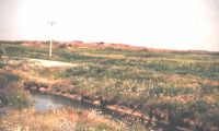 Cronica Cercetărilor Arheologice din România, Campania 2000. Raportul nr. 78