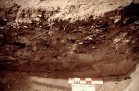 Cronica Cercetărilor Arheologice din România, Campania 2000. Raportul nr. 78