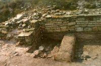 Cronica Cercetărilor Arheologice din România, Campania 2000. Raportul nr. 98