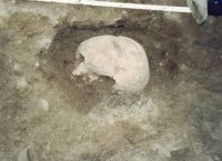 Cronica Cercetărilor Arheologice din România, Campania 2000. Raportul nr. 156