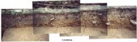 Cronica Cercetărilor Arheologice din România, Campania 2000. Raportul nr. 174
