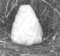 Cronica Cercetărilor Arheologice din România, Campania 2000. Raportul nr. 174