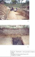 Cronica Cercetărilor Arheologice din România, Campania 2000. Raportul nr. 174