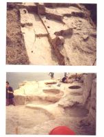 Cronica Cercetărilor Arheologice din România, Campania 2000. Raportul nr. 179