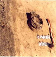 Cronica Cercetărilor Arheologice din România, Campania 2000. Raportul nr. 192