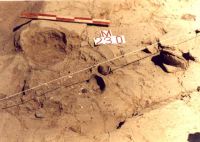 Cronica Cercetărilor Arheologice din România, Campania 2000. Raportul nr. 192