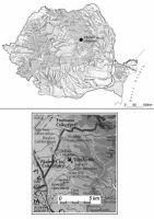 Cronica Cercetărilor Arheologice din România, Campania 2000. Raportul nr. 200