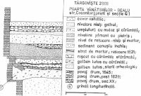 Cronica Cercetărilor Arheologice din România, Campania 2000. Raportul nr. 203
