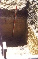 Cronica Cercetărilor Arheologice din România, Campania 2000. Raportul nr. 203