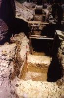 Cronica Cercetărilor Arheologice din România, Campania 2000. Raportul nr. 203