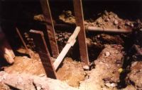 Cronica Cercetărilor Arheologice din România, Campania 2000. Raportul nr. 203