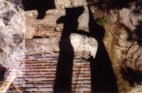 Cronica Cercetărilor Arheologice din România, Campania 2000. Raportul nr. 203