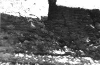Cronica Cercetărilor Arheologice din România, Campania 2000. Raportul nr. 204