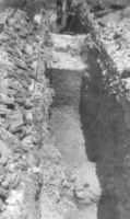 Cronica Cercetărilor Arheologice din România, Campania 2000. Raportul nr. 204