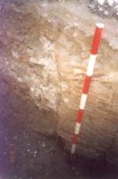 Cronica Cercetărilor Arheologice din România, Campania 2000. Raportul nr. 204