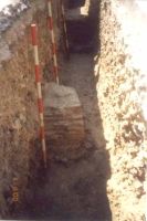 Cronica Cercetărilor Arheologice din România, Campania 2000. Raportul nr. 204