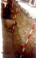 Cronica Cercetărilor Arheologice din România, Campania 2000. Raportul nr. 204