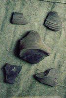 Cronica Cercetărilor Arheologice din România, Campania 2000. Raportul nr. 219