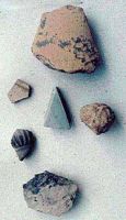 Cronica Cercetărilor Arheologice din România, Campania 2000. Raportul nr. 219