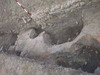 Cronica Cercetărilor Arheologice din România, Campania 2000. Raportul nr. 224