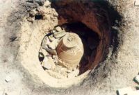 Cronica Cercetărilor Arheologice din România, Campania 2000. Raportul nr. 225