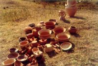 Cronica Cercetărilor Arheologice din România, Campania 2000. Raportul nr. 225