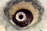 Cronica Cercetărilor Arheologice din România, Campania 2000. Raportul nr. 225