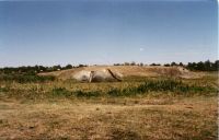 Cronica Cercetărilor Arheologice din România, Campania 2000. Raportul nr. 226