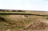 Cronica Cercetărilor Arheologice din România, Campania 2000. Raportul nr. 226