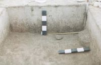 Cronica Cercetărilor Arheologice din România, Campania 2001. Raportul nr. 2