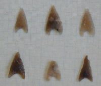 Cronica Cercetărilor Arheologice din România, Campania 2001. Raportul nr. 2