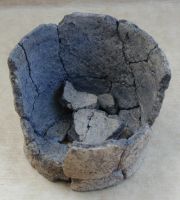 Cronica Cercetărilor Arheologice din România, Campania 2001. Raportul nr. 2