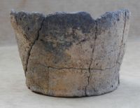 Cronica Cercetărilor Arheologice din România, Campania 2001. Raportul nr. 2