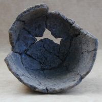 Cronica Cercetărilor Arheologice din România, Campania 2001. Raportul nr. 2
