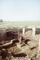 Cronica Cercetărilor Arheologice din România, Campania 2001. Raportul nr. 2