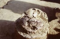 Cronica Cercetărilor Arheologice din România, Campania 2001. Raportul nr. 2