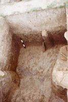 Cronica Cercetărilor Arheologice din România, Campania 2001. Raportul nr. 2