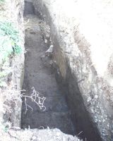 Cronica Cercetărilor Arheologice din România, Campania 2001. Raportul nr. 6