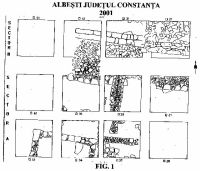 Cronica Cercetărilor Arheologice din România, Campania 2001. Raportul nr. 13