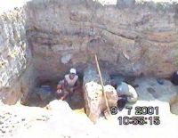 Cronica Cercetărilor Arheologice din România, Campania 2001. Raportul nr. 21