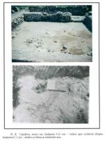 Cronica Cercetărilor Arheologice din România, Campania 2001. Raportul nr. 49
