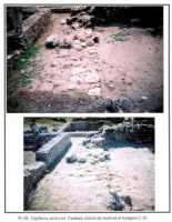 Cronica Cercetărilor Arheologice din România, Campania 2001. Raportul nr. 49