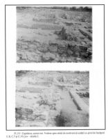 Cronica Cercetărilor Arheologice din România, Campania 2001. Raportul nr. 49
